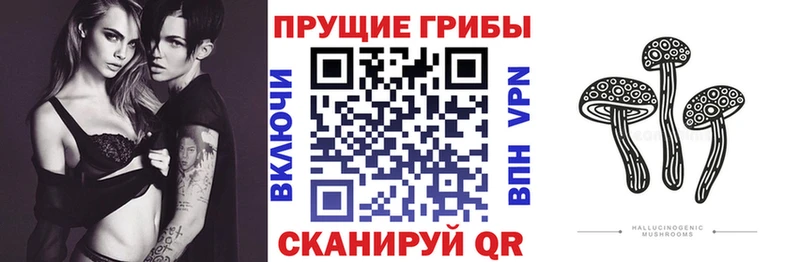 Галлюциногенные грибы Psilocybe Апрелевка