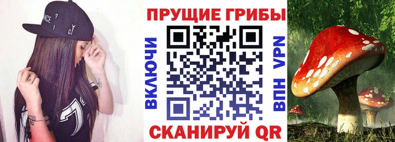 МЕГА ССЫЛКА  Апрелевка  Псилоцибиновые грибы мицелий 