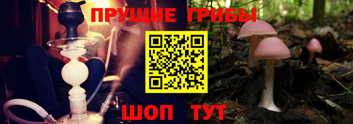 Псилоцибиновые грибы ЛСД Апрелевка